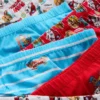1,5–7 år | 6-pak Paw Patrol-underbukser