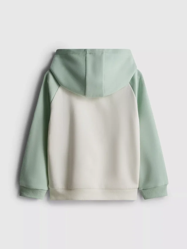 1,5–8 år | hoodie med farveblokke
