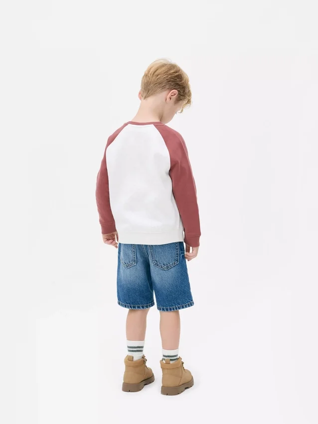 1,5–8 år | sweatshirt med farveblokke
