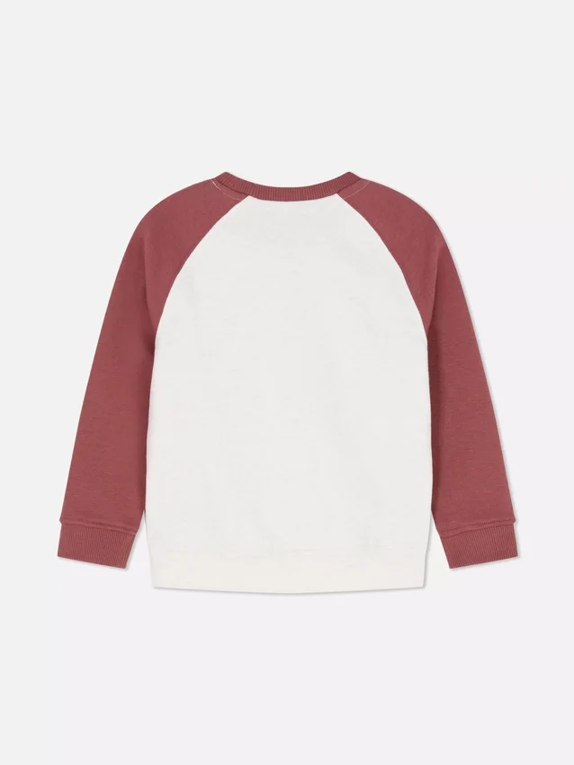 1,5–8 år | sweatshirt med farveblokke