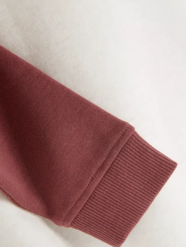 1,5–8 år | sweatshirt med farveblokke