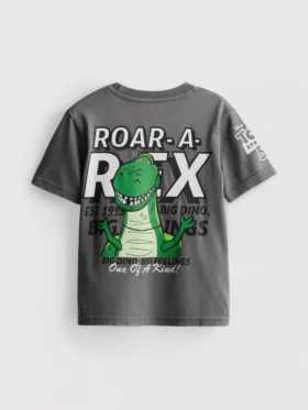 1–9 år | Disney Pixars Toy Story Rex Skjorte