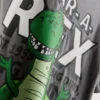 1–9 år | Disney Pixars Toy Story Rex Skjorte