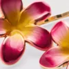 2 stk. blomsterformede hårspænder