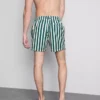 Badeshorts med striber i liggestolsstil