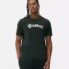 Boston-T-shirt