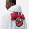 NBA Chicago Bulls-logo-hoodie