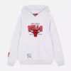 NBA Chicago Bulls-logo-hoodie