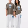 NFL Detroit Lions-logo-T-shirt