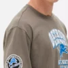 NFL Detroit Lions-logo-T-shirt