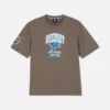 NFL Detroit Lions-logo-T-shirt