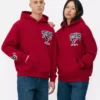 NFL Houston Texans-hold-hoodie