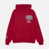 NFL Houston Texans-hold-hoodie