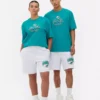 NFL Miami Dolphins-logo-T-shirt