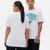 NFL Miami Dolphins-logo-T-shirt