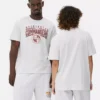 NFL Washington Commanders-logo-T-shirt