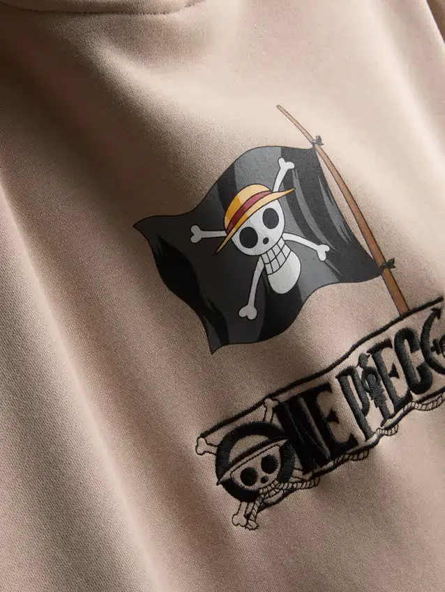 One Piece Thousand Sunny-hoodie