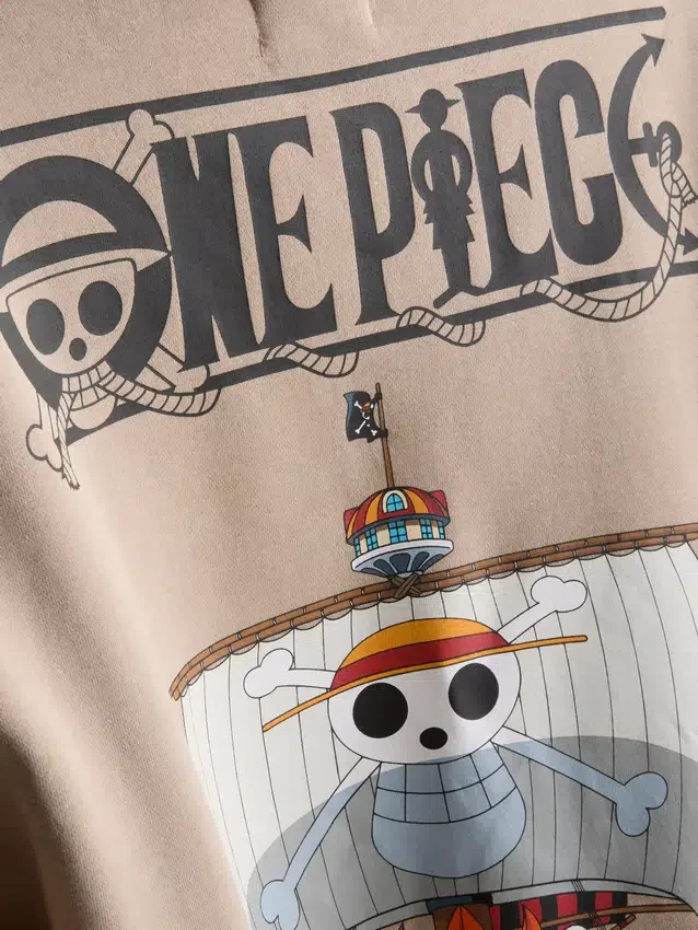 One Piece Thousand Sunny-hoodie