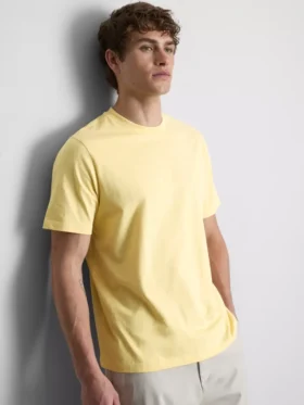 T-shirt med kort ærme i regular fit-stil