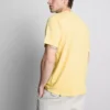 T-shirt med kort ærme i regular fit-stil