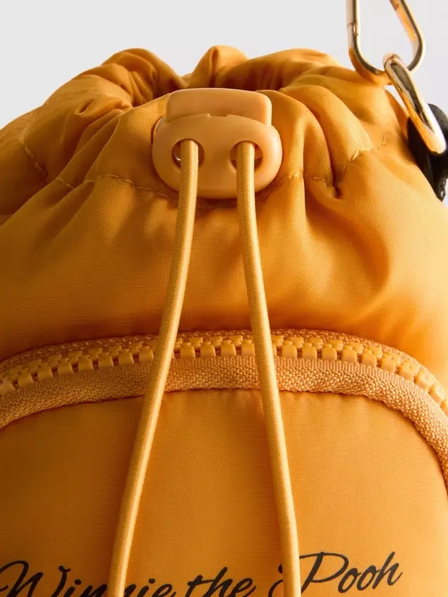 Winnie the Pooh Tigger flaskepose SD